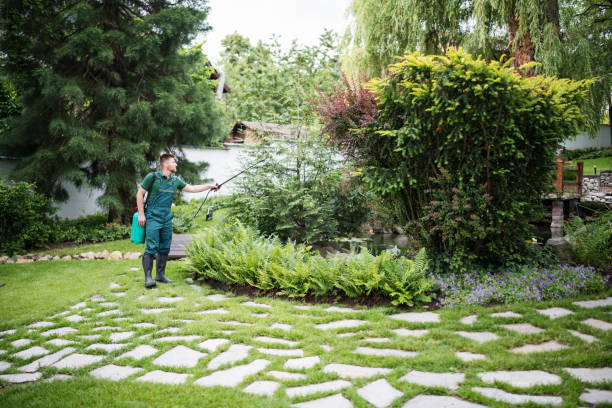 Best Pest Inspection Near Me  in Andrews, NC