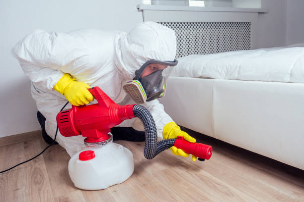 Best Mosquito Control Services  in Andrews, NC