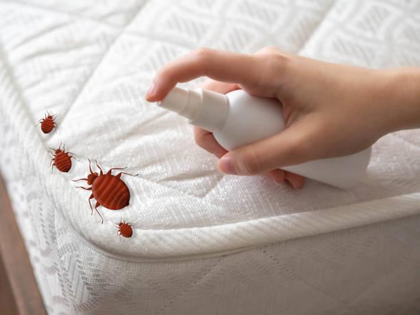 Pest Prevention Services in Andrews, NC