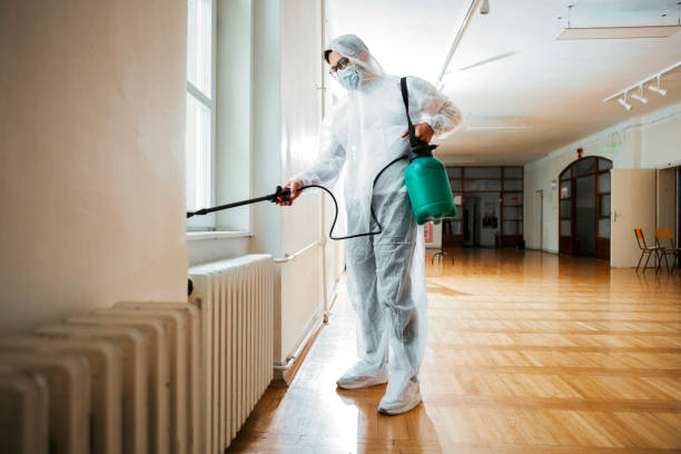 Best Flea Control Services  in Andrews, NC