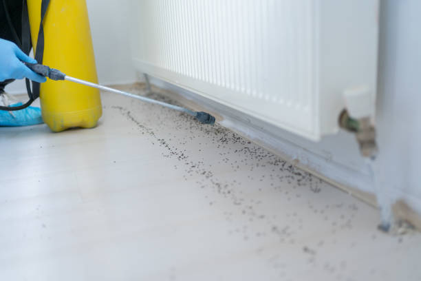 Best Residential Pest Control  in Andrews, NC