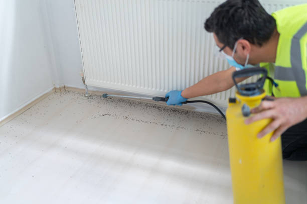 Best Bed Bug Extermination  in Andrews, NC