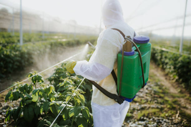 Best Pest Removal Services  in Andrews, NC